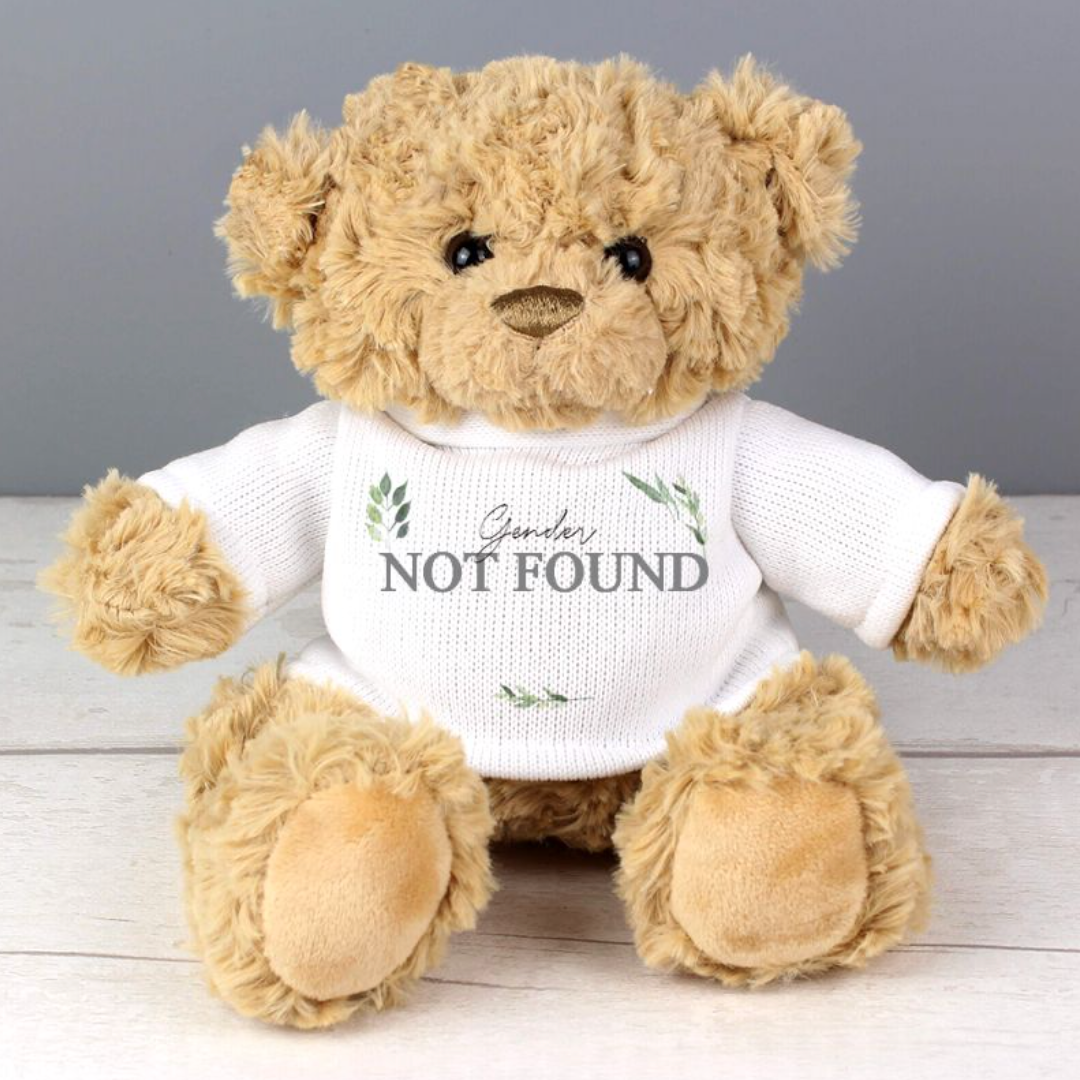 Non-Binary Teddy Bear | Gift