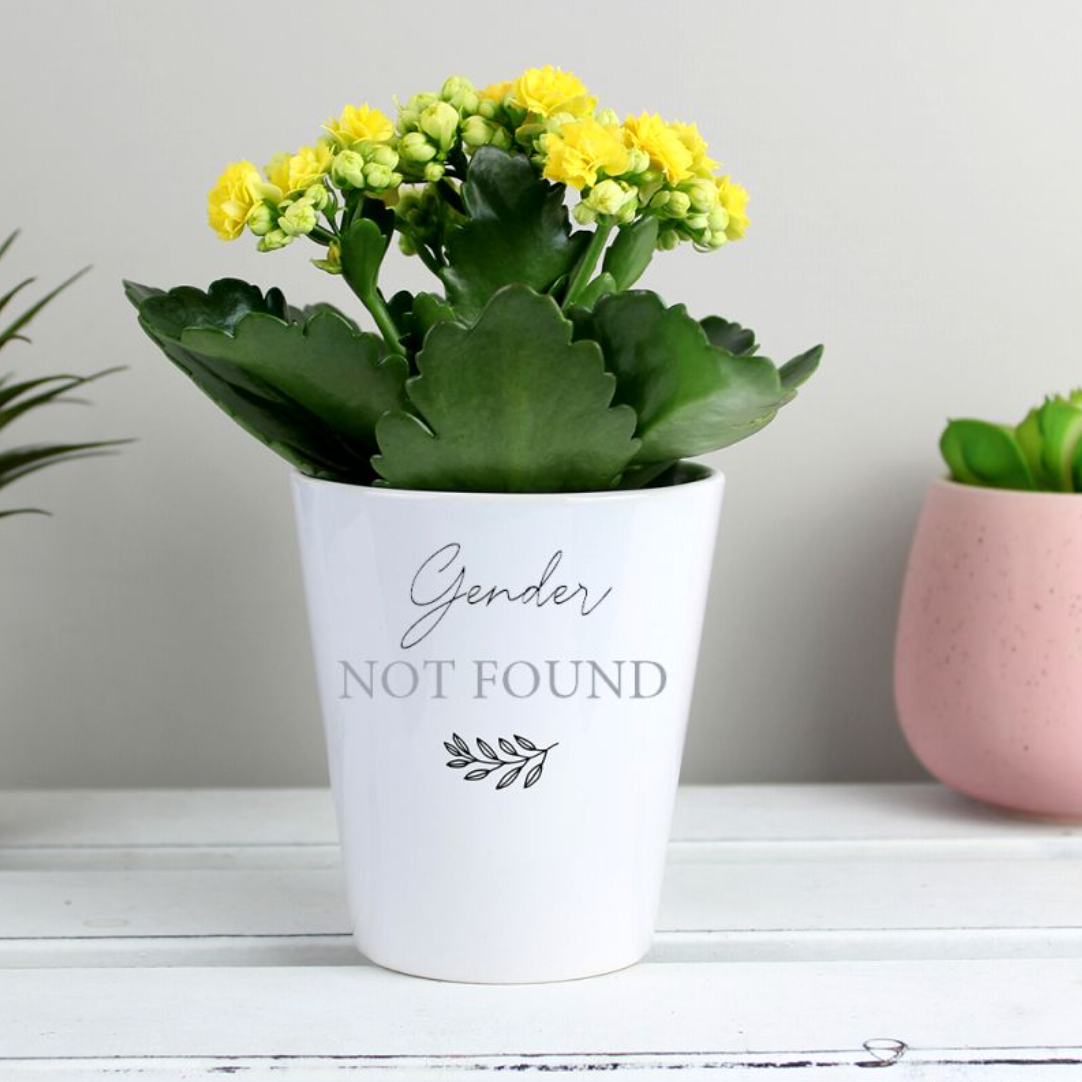 Non-Binary Plant Pot | Gift